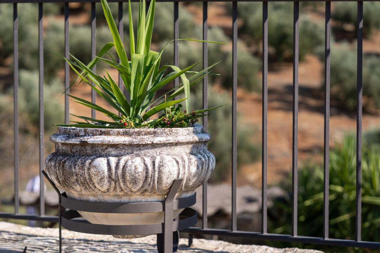 Hacienda La Buena Vida B&B En Appartementen Algarinejo Εξωτερικό φωτογραφία