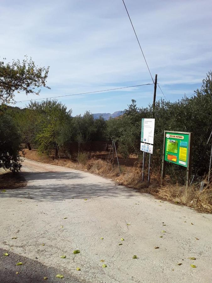 Hacienda La Buena Vida B&B En Appartementen Algarinejo Εξωτερικό φωτογραφία