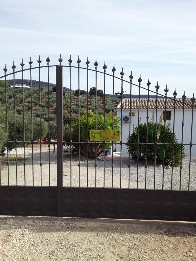 Hacienda La Buena Vida B&B En Appartementen Algarinejo Εξωτερικό φωτογραφία