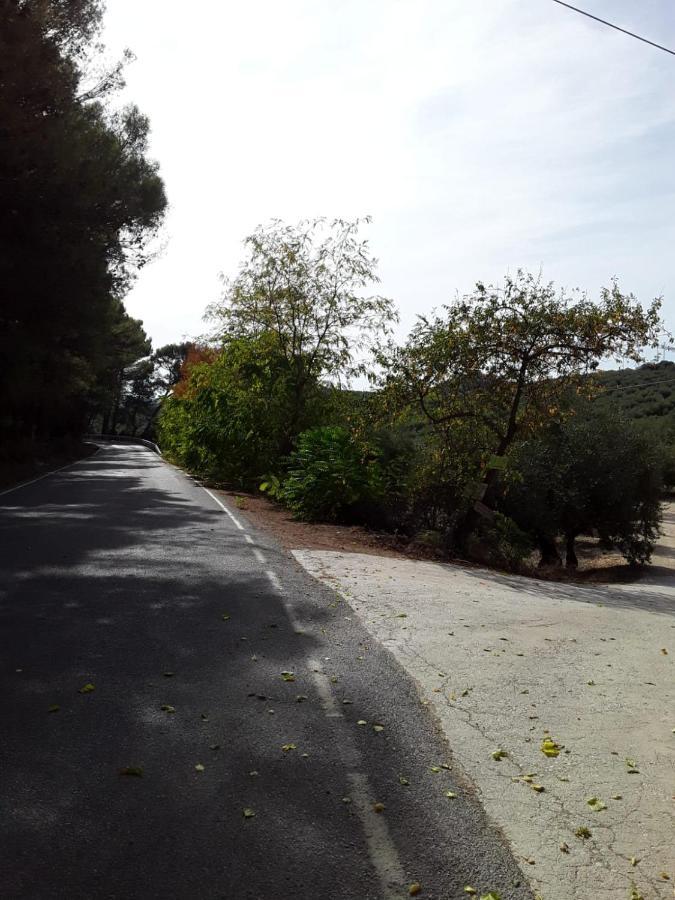 Hacienda La Buena Vida B&B En Appartementen Algarinejo Εξωτερικό φωτογραφία